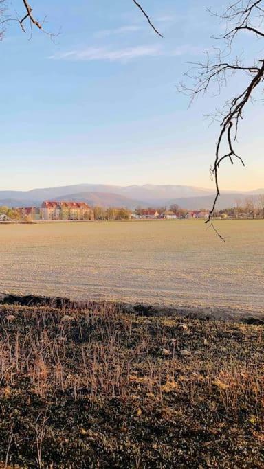 Ksiazeca Jelenia Gora