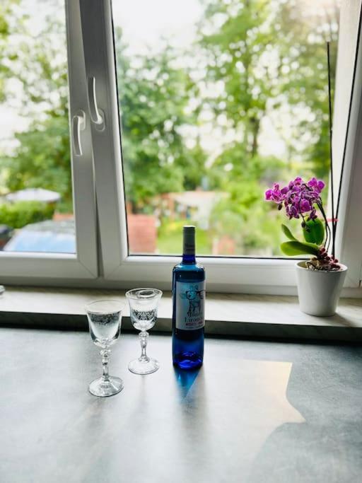 Ksiazeca Apartment *